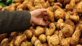 Patates fiyatları normale dönecek