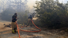 GÜNCELLEME İzmir'de orman yangını 
