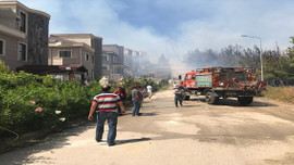 GÜNCELLEME - Bursa'da orman yangını
