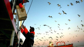 Türkiye'deki yasak Gürcistan’ı zengin etti