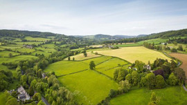 Hazine arazilerinde satış nasıl olacak?