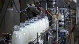 Türkiye, ABD'den süt ürünleri ithal etmeye başlayacak