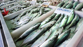 'Kırmızı etteki tehlike balıkta da var'