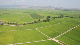 Yıllık 100 liraya kiralık devlet arazisi