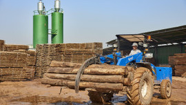 İnşaatçıları gözdesi teak ağacı Türkiye'de!