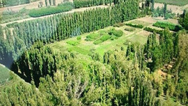 AOÇ'ta yüksek yapılaşma yargıdan döndü