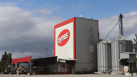 Aynes gıda yönetimi TMSF'ye devredildi