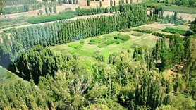 Atatürk Orman Çiftliği yine imara açıldı
