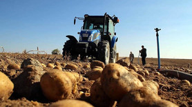 Türkiye patates fiyatı artışında dünya ikincisi