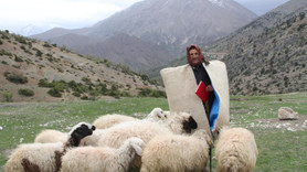 Afganistan'dan 5 bin lira maaşla çoban ithali