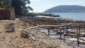 Heybeliada’da plaja 50 ton beton döküldü