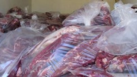 20 ton bufalo eti ele geçirildi