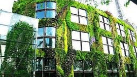 Yeşil binalarla birlikte doğanın verimliliği artacak!