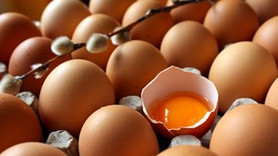 Yumurta fiyatlarında düşüş gözlendi