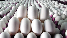 Yumurta fiyatlarında şok artış
