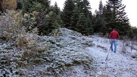 Kartalkaya'ya ilk kar düştü!