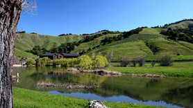 Ünlü yönetmenden yoksullara lüks konut!