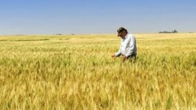 TZOB Başkanı çifçileri uyardı!