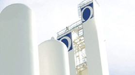 Bir Türk firmasını daha aldı