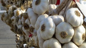 Rekor kuru sarımsak ve salatalıkta!
