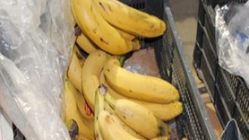 Muzdan zehirli örümcek yumurtası çıktı!