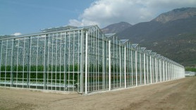 Topraksız üretim, 'Cam' sera...