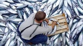 Avcılık sezonu açılıyor!