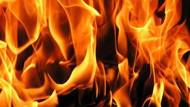 Bodrum'da makilik alanda yangın!