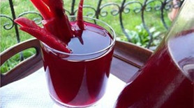 Japonya Doğanay Şalgam üretecek!