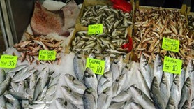 Balık fiyatlarında şok artış