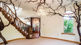 İşte hayalleri süsleyen masalsı ağaç ev