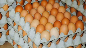 İhracat talebi patladı yumurta fiyatları uçuşa geçti