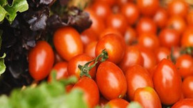 Rusya Türk domatesini Azerbaycan'dan mı alıyor?