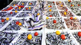 Balık fiyatları giderek yükseliyor