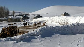 Yurt genelinde kar yağışı başladı