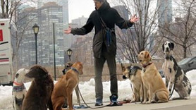 Köpek gezdirerek ayda 5 bin lira kazanabilirsiniz!