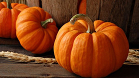 Bugün başlıyor! Rusya kabak alımını durdurdu