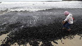 Gemiden dökülen kömürler sahile vurdu