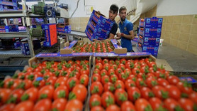Rus firmalarından yaş sebze meyve talepleri gelmeye başladı