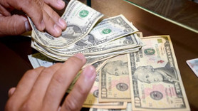 İşte Türkiye'nin dolar rezervi!