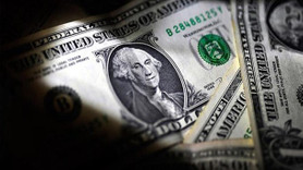 Hükümetten kritik dolar açıklaması