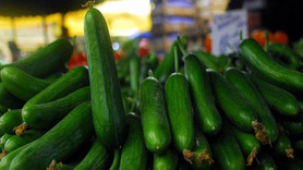 Şubat ayının zam şampiyonu salatalık