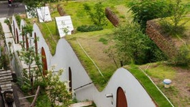 Japon mimardan mini yeşil site