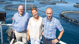 CarrefourSA’dan balığa 4 milyon TL