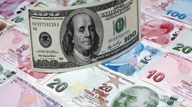 Dolar/TL  haftaya hafif düşüşle başladı