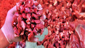 Sağlık Bakanlığı'ndan kurban eti uyarısı