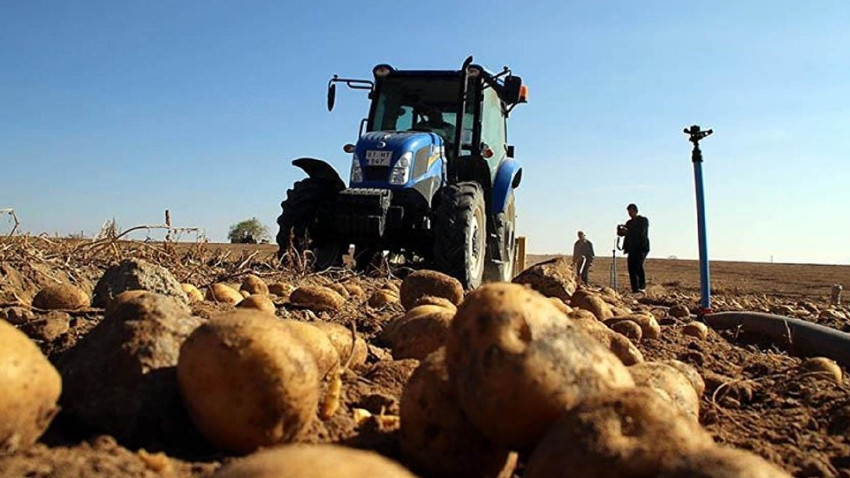 Türkiye patates fiyatı artışında dünya ikincisi