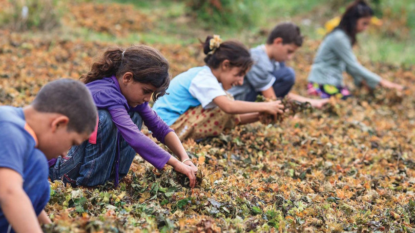 Türkiye'de kayıt dışı 600 bin çocuk işçi var!