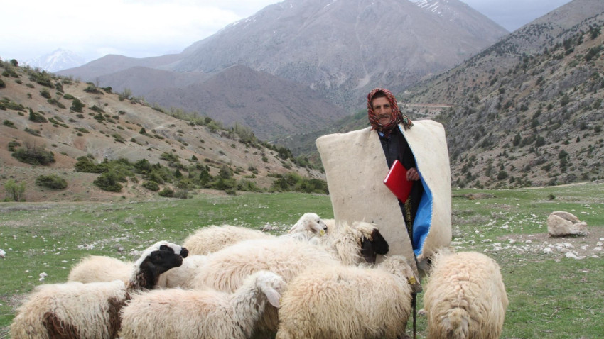 150 bin çoban lazım! Afganistan'dan 5 bin lira maaşla çoban ithali