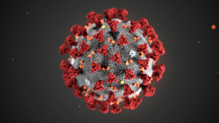 Koronavirüs salgını Çin'in tamamına yayıldı